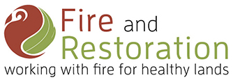 Fire and restoration logo