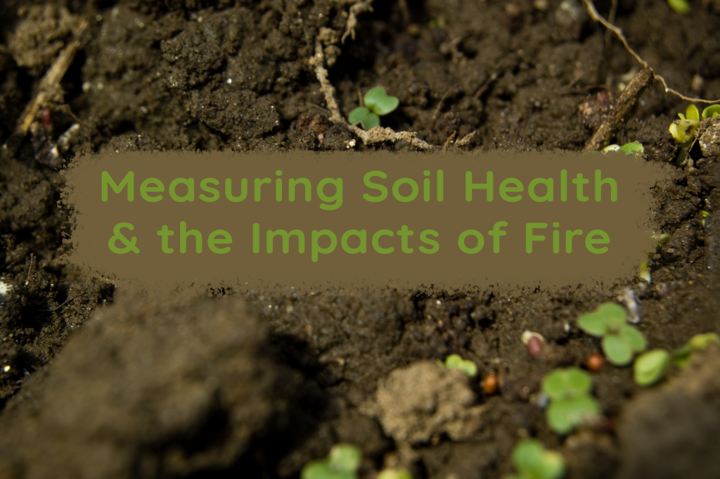 Measuring Soil Health & the Impacts of Fire