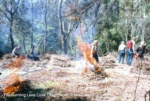 Lane Cove Pile Burning 2002